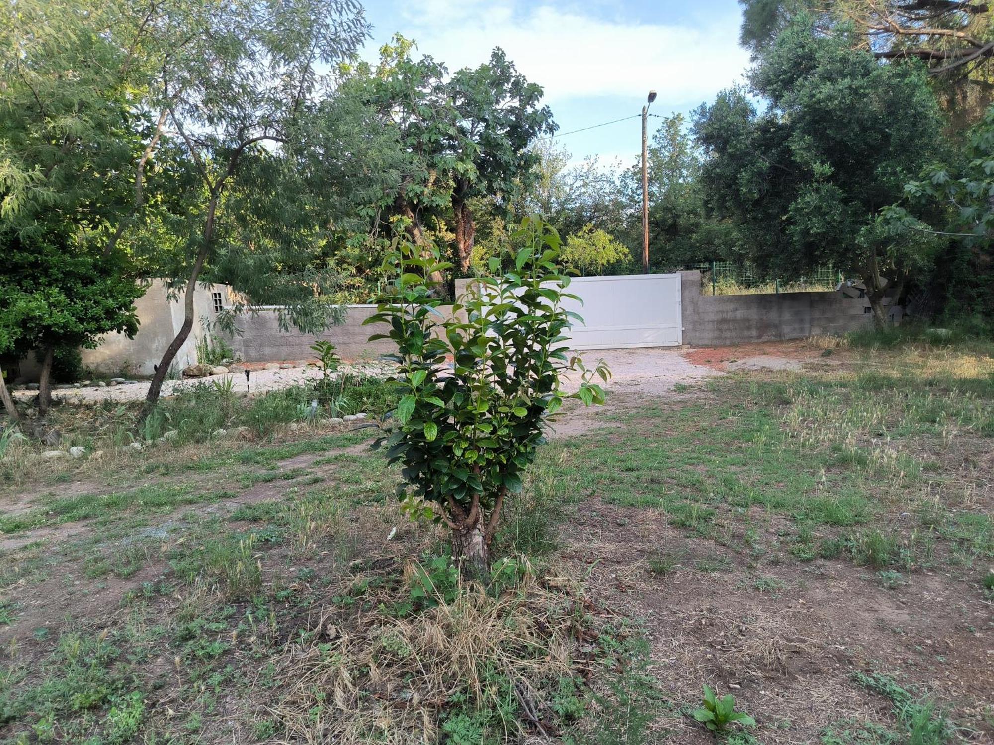 شقة Location Saisonniere Curiste مونتيسكوي المظهر الخارجي الصورة