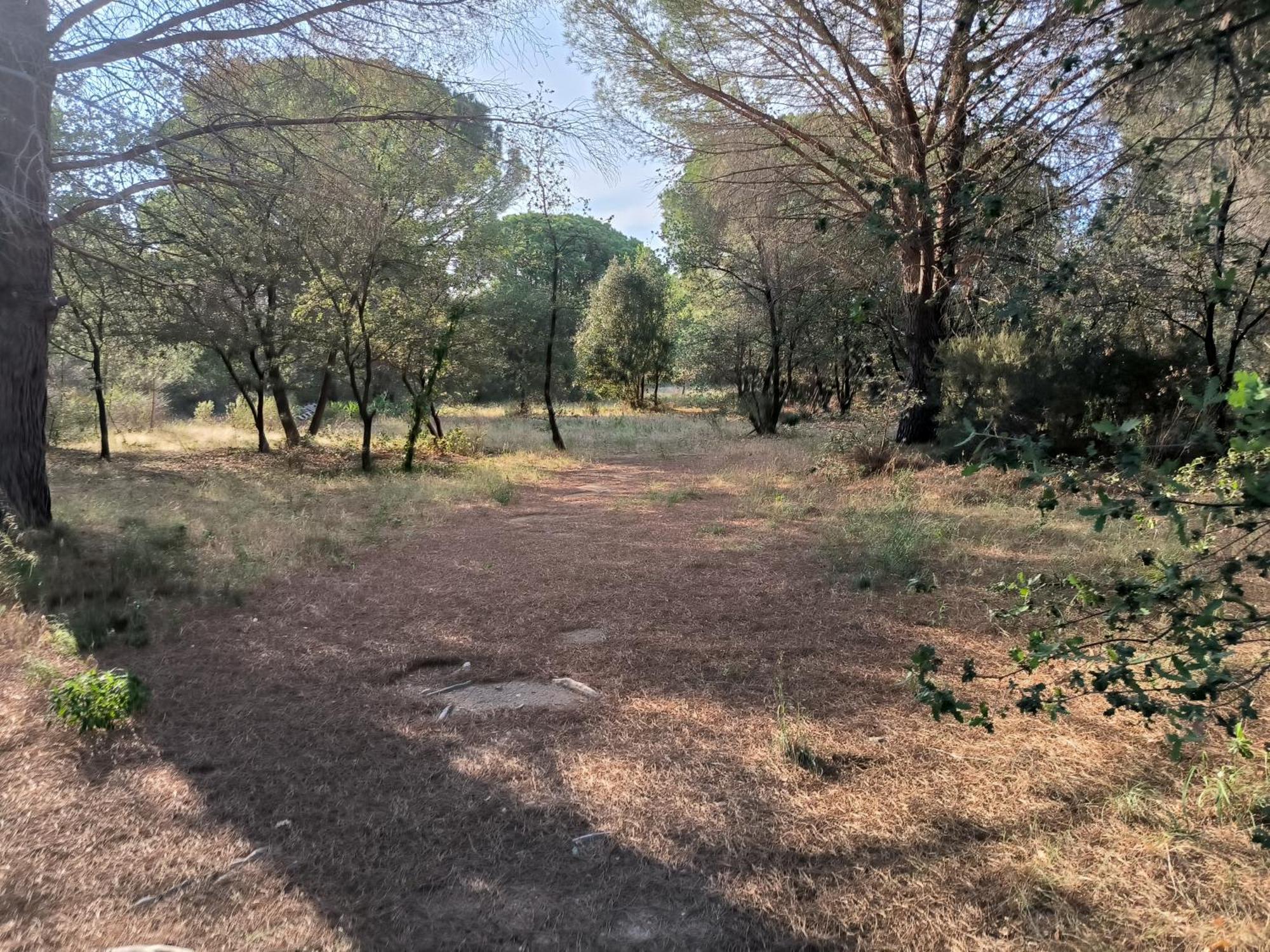 شقة Location Saisonniere Curiste مونتيسكوي المظهر الخارجي الصورة
